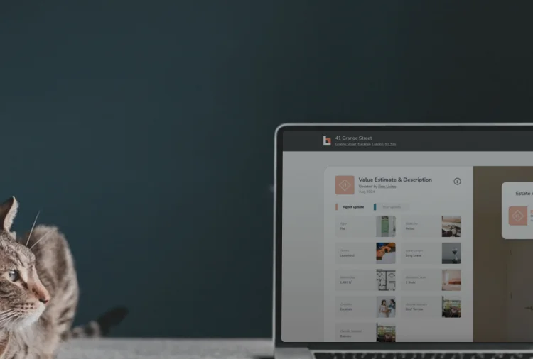 About Us Header Background Image