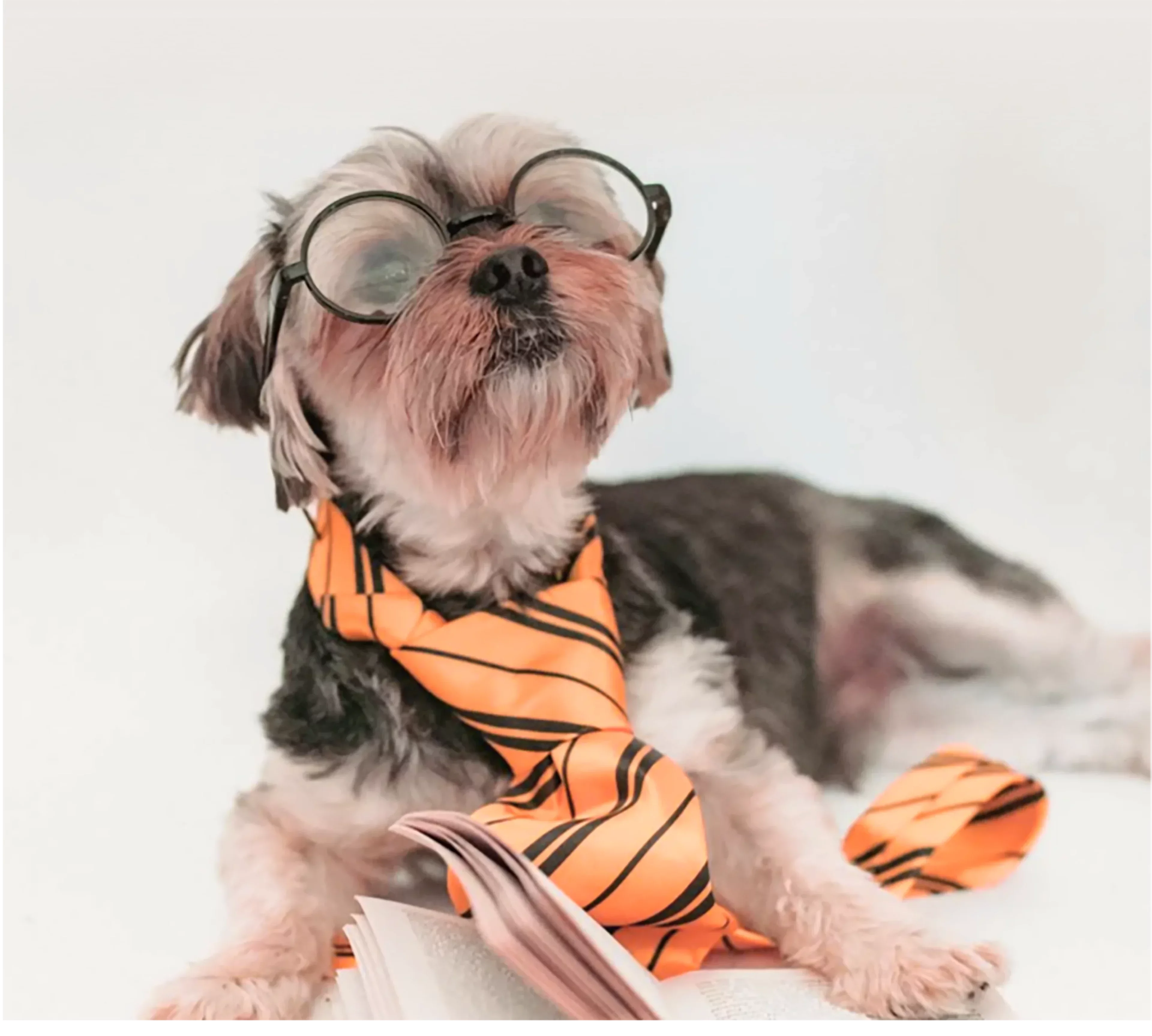 For Estate Agents Background Image
