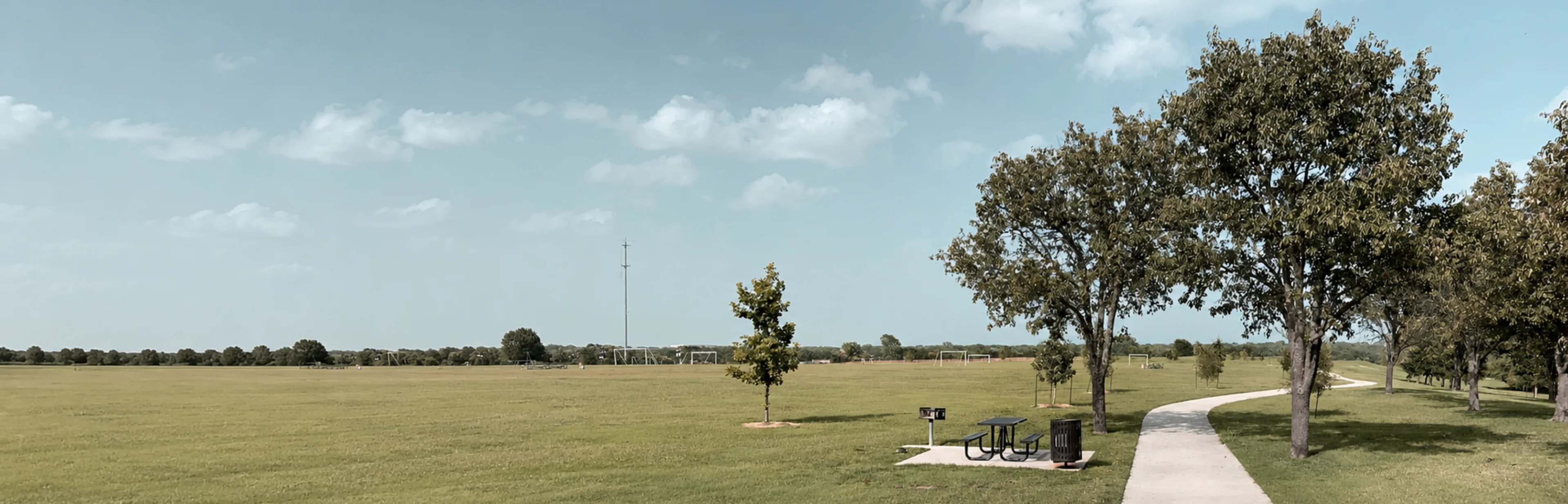 The Local Area